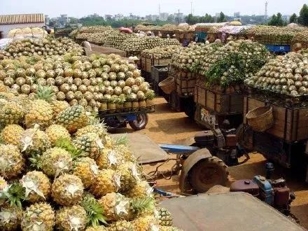 距海南20km有片处女地，比台湾风情比三亚便宜，路过都错过了
