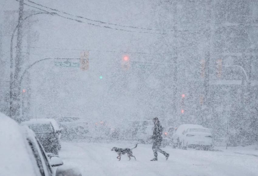家乡特色美食分享,我家乡的特色是什么
