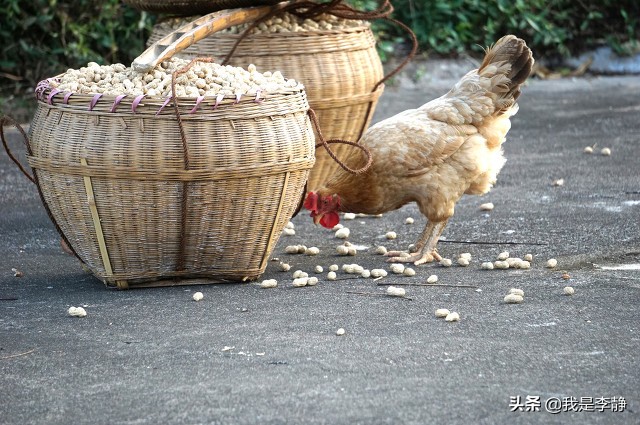 你知道哪些症状属于过度疲劳吗,怎么知道自己处于疲劳状态