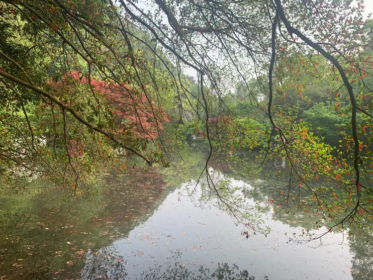 龙井村九溪十八涧徒步最佳路线图,九溪十八涧只有龙井村一个出口吗