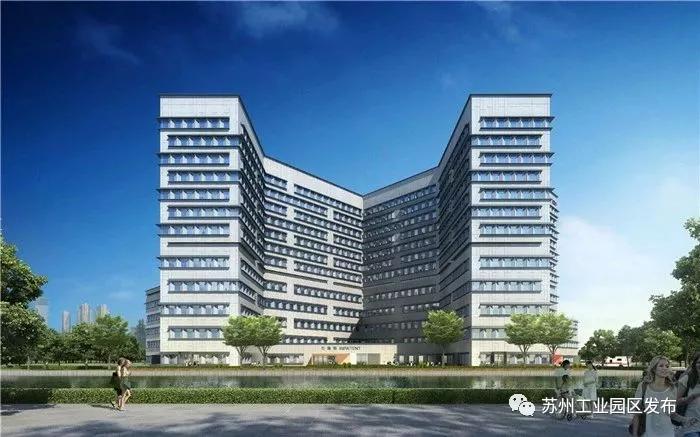 尖叫!苏州碾压一线城市,迎来高光时刻