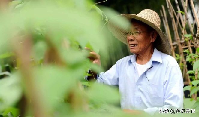 一位老党员靠捡物品捐款,七旬老党员捐献遗体上交最后一笔