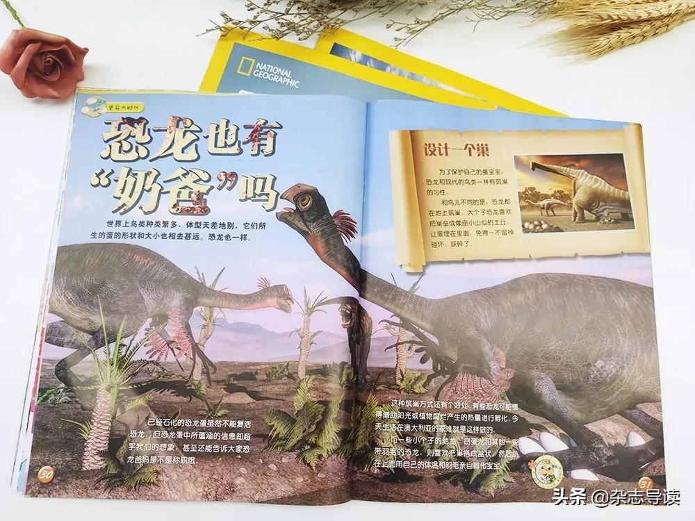 孩子必读的科普读物,哪些适合小学生看的科普杂志