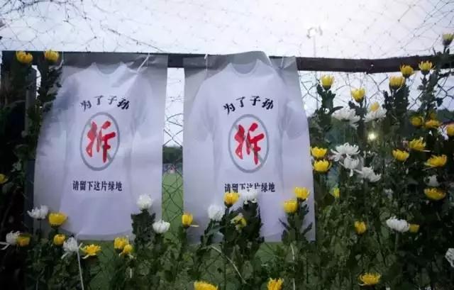 深圳一个让人伤心的城市,泪崩了原唱完整版