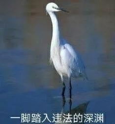 一抹就掉色，这个3N口罩过分了