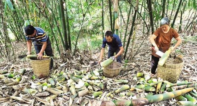 四川特色土货都有哪些,四川农村著名的美食有哪些