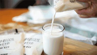 中国人适合喝的奶,哪个牌子的牛奶才是真正的纯牛奶