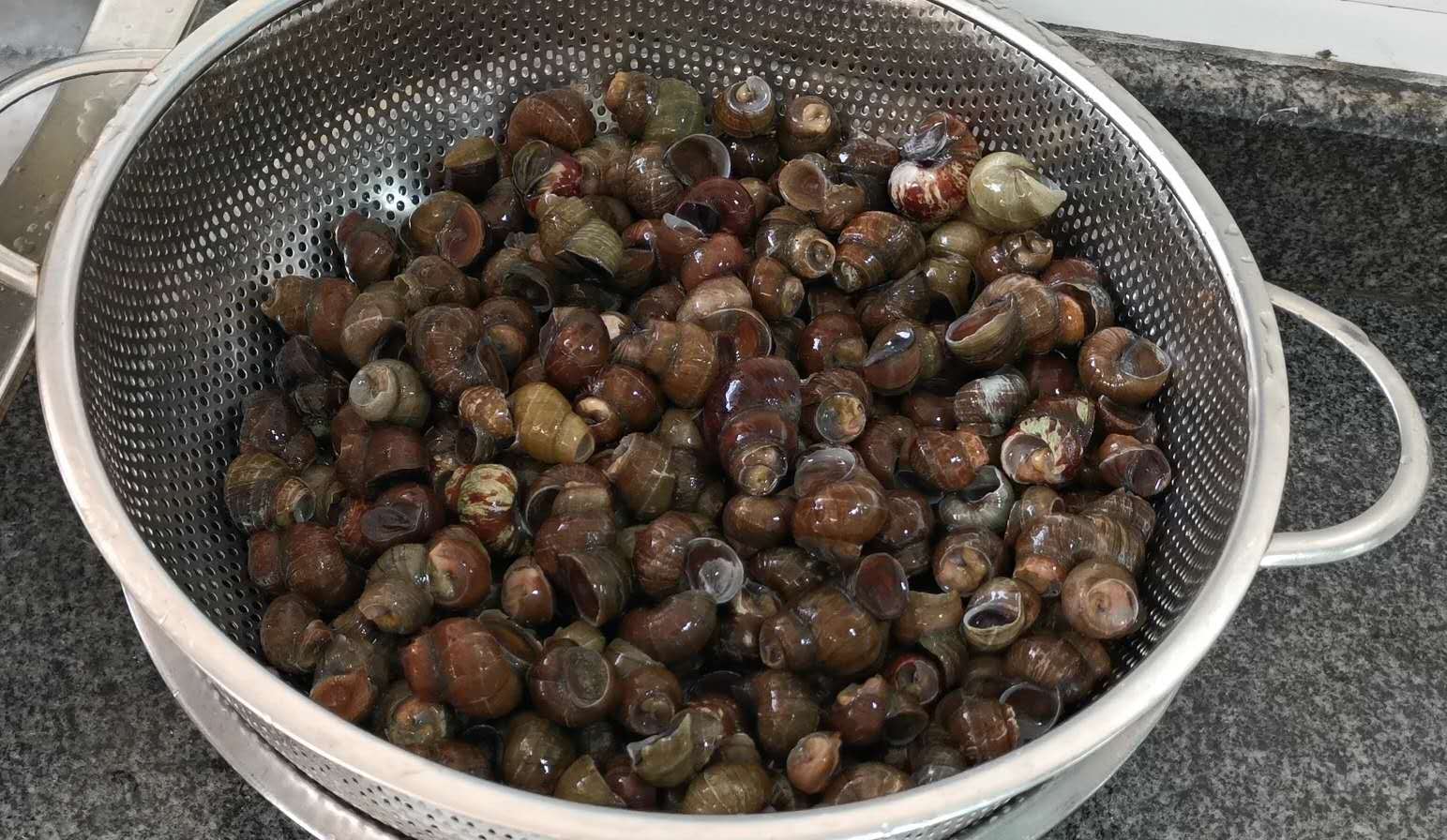 田螺怎么做又正宗又好吃,大厨教你田螺的创新做法