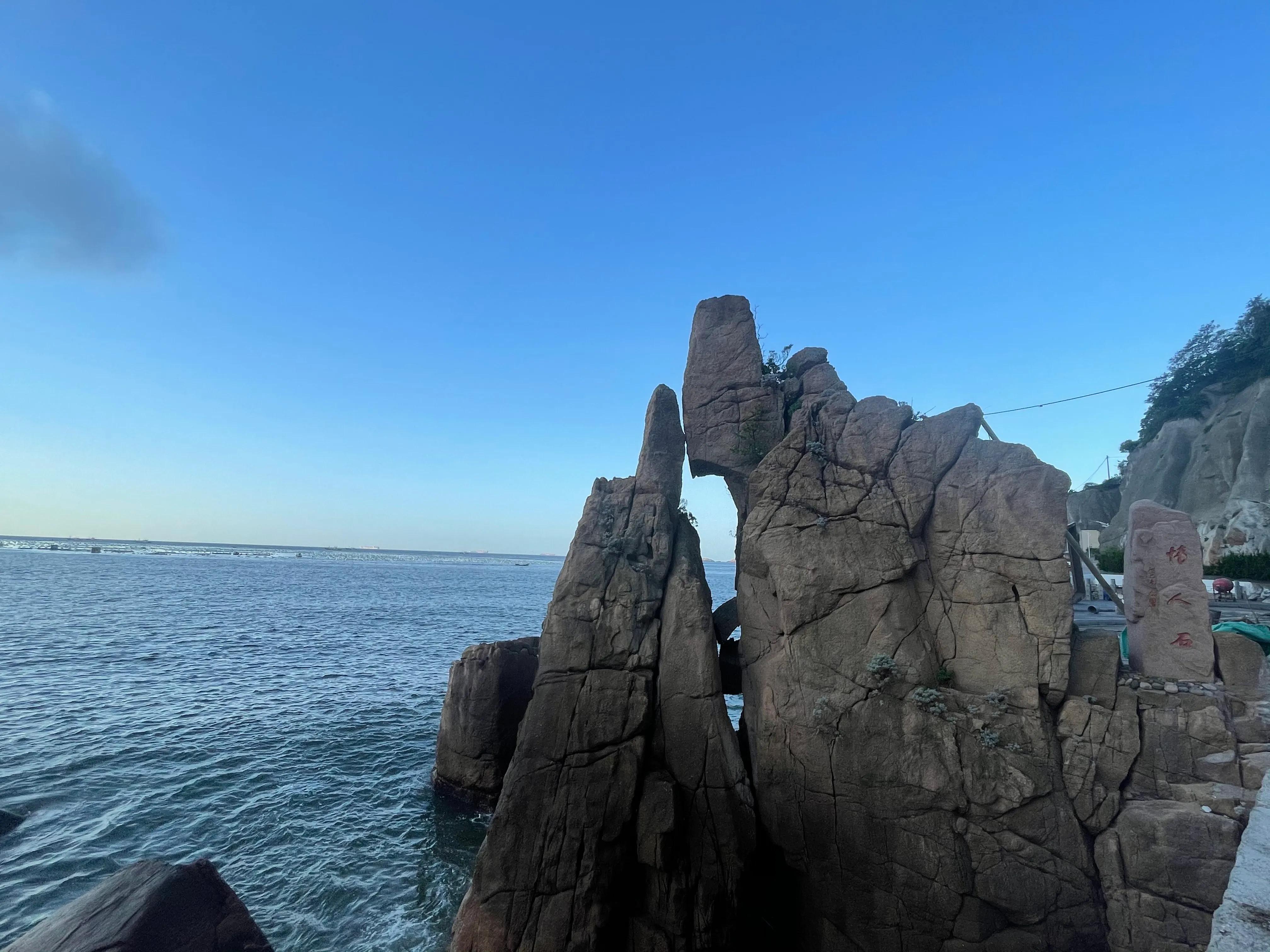 美丽枸杞,美丽的枸杞