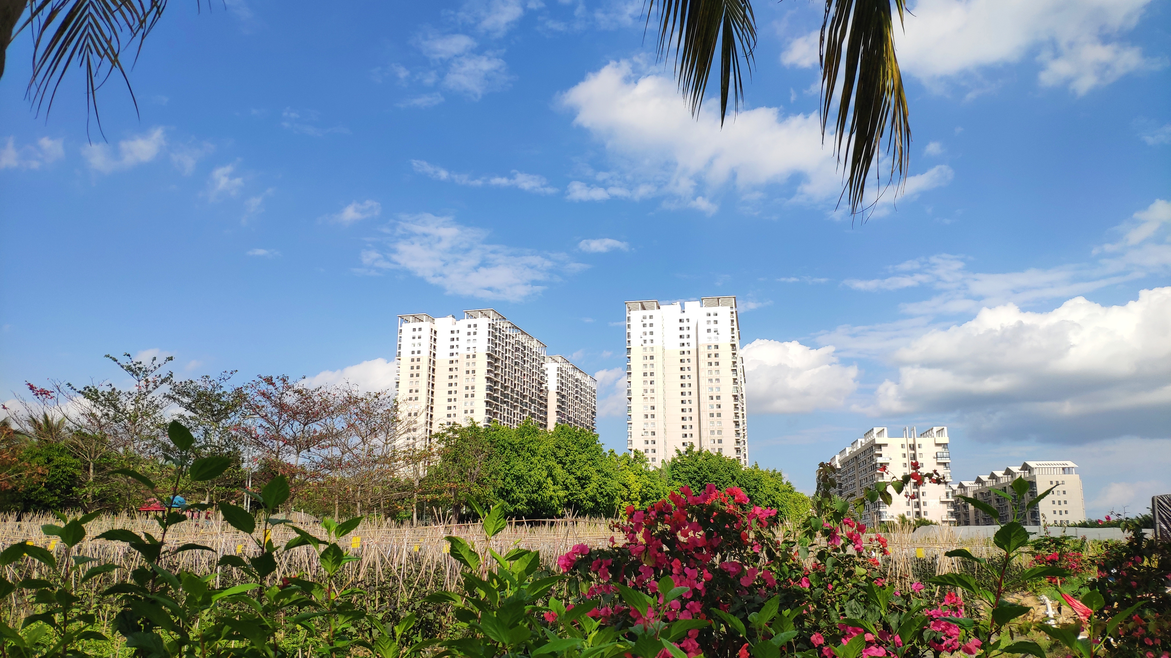 海南山海湾疫情,疫情海南夜生活