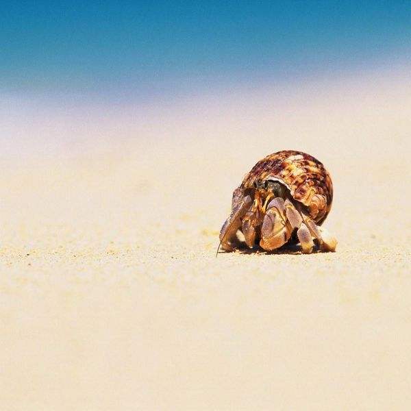 广东必去的沙滩旅游景点,广东十个露营的海岛