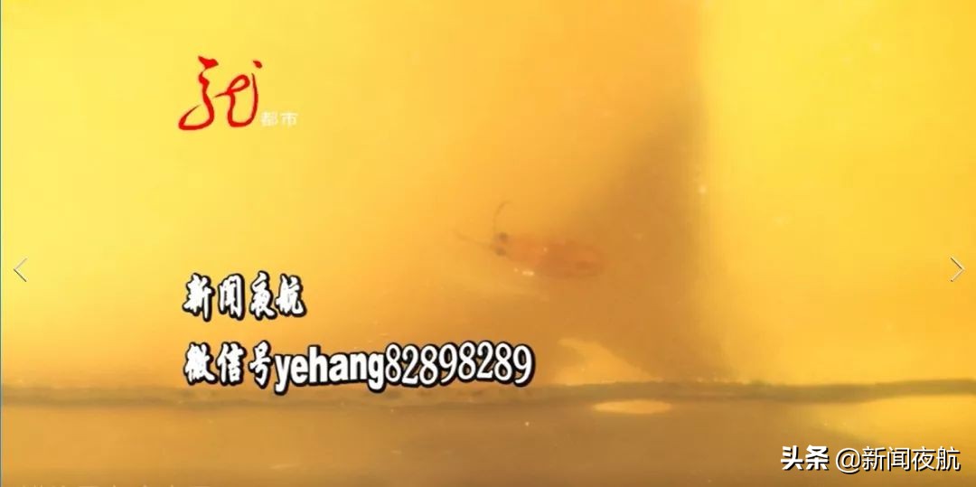 四瓶罐头吃了仨，突然发现小虫爬！商家答应赔偿，为啥先得把罐头寄回去？