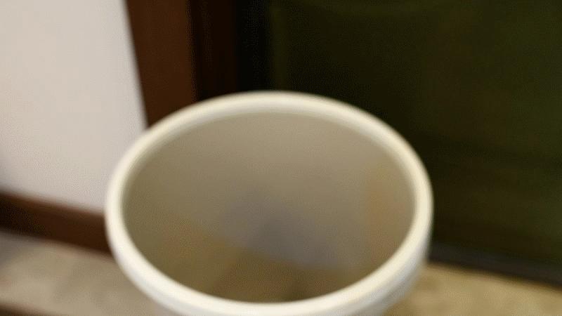 做家务原来这么简单-睿米无线擦地吸尘器NEXVX