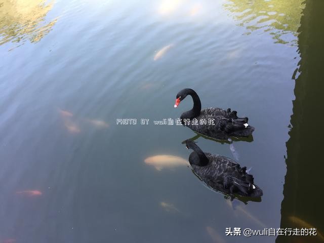 连城冠豸山游玩几小时最佳,连城冠豸山旅游全攻略