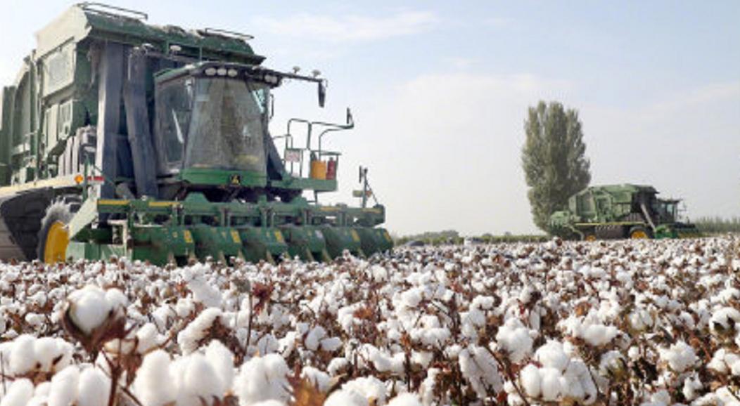 新疆一商场关闭hm门店,新疆商场回应关hm门店