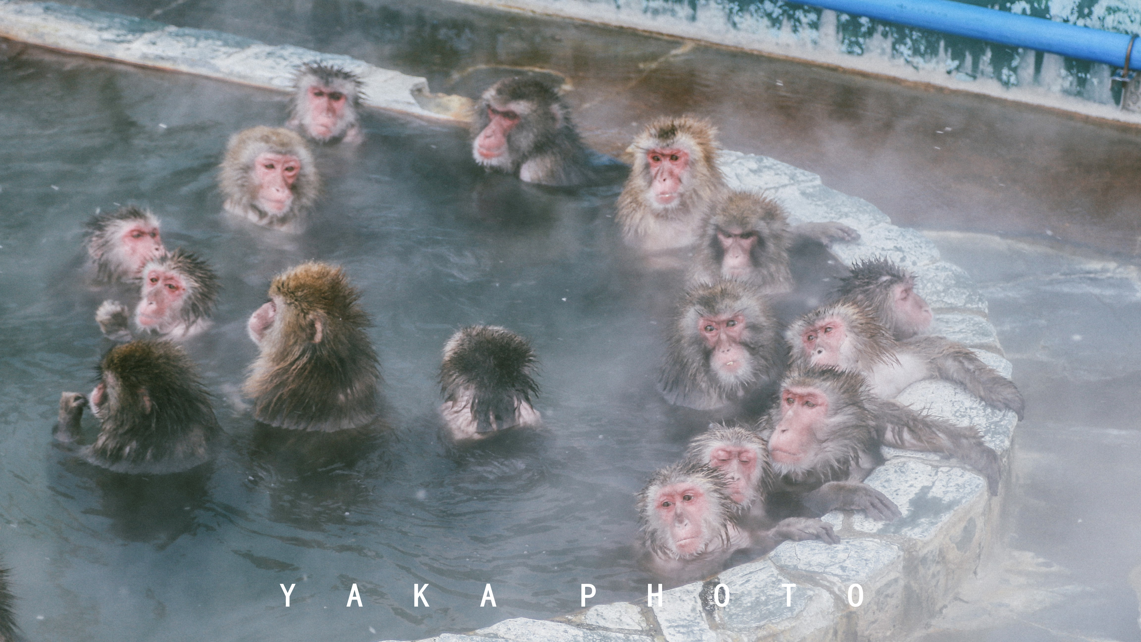 日本北海道旭川到函馆的距离,北海道函馆景点