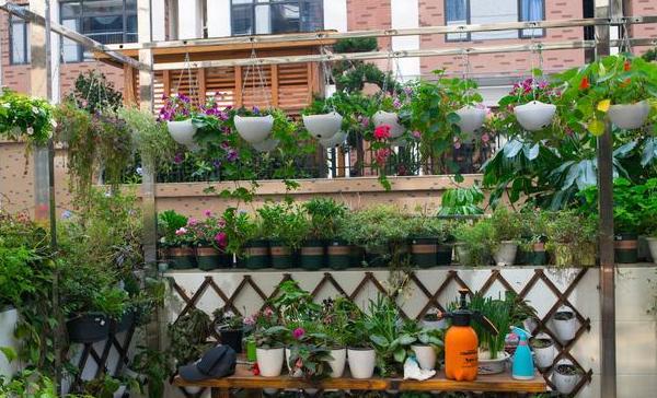 喜欢烧烤但是要省钱怎么办,喜欢养花的技巧和方法