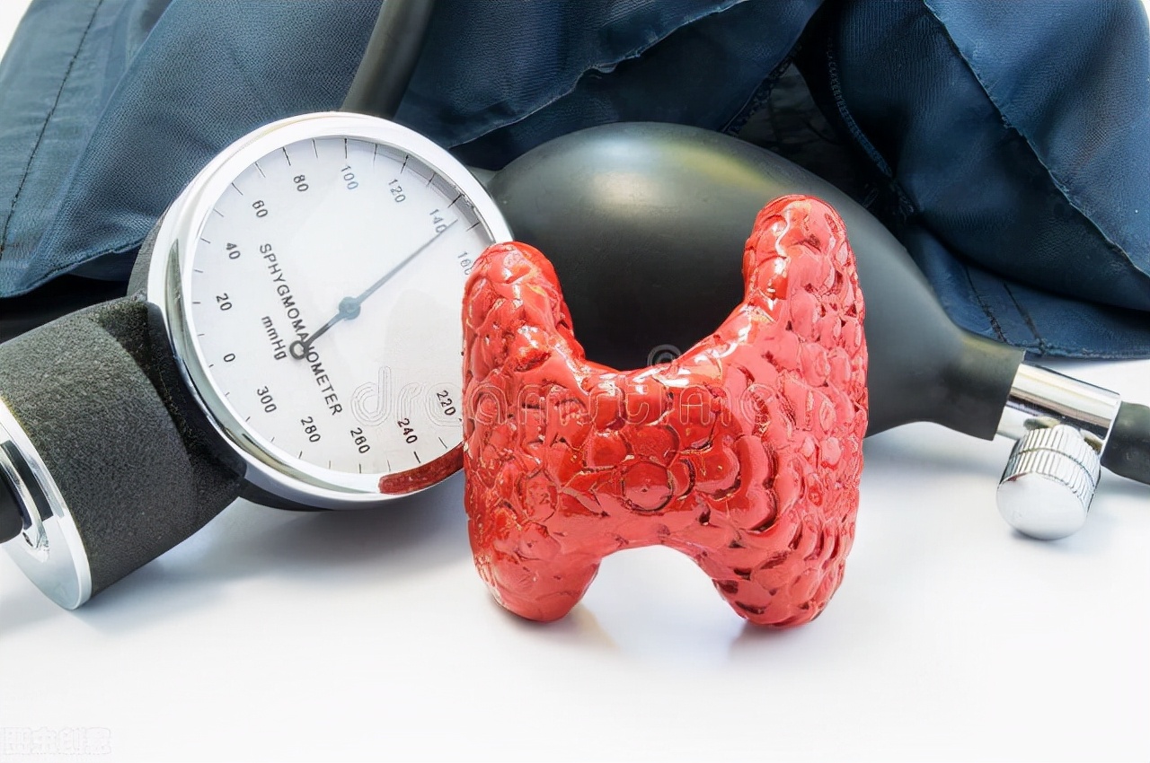 甲状腺没了对身体的影响,甲状腺没了对人身体的影响