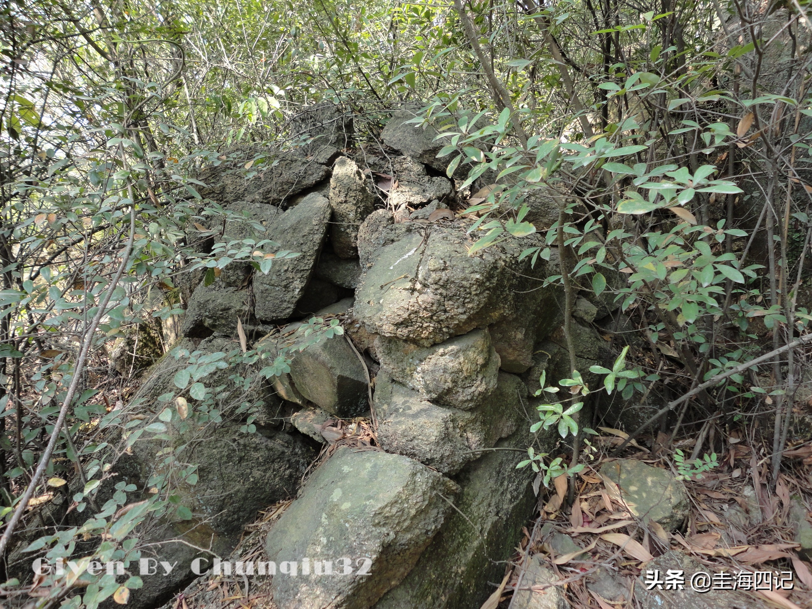 明代海禁的原因,明朝海禁的得失