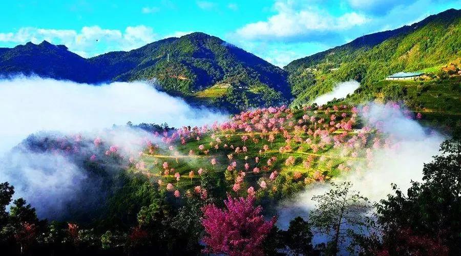 泰国西双版纳旅行,西双版纳基诺山热带雨林徒步