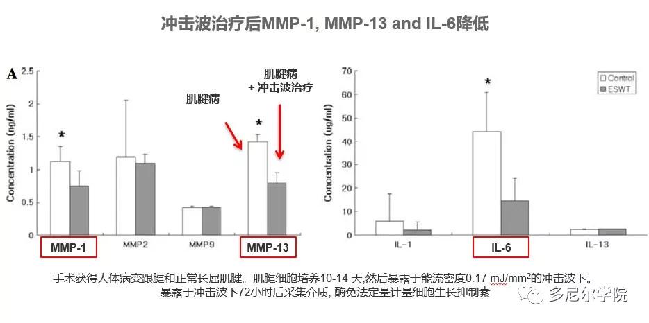 神话战斗力最强的生物,冲击波的生物学效应