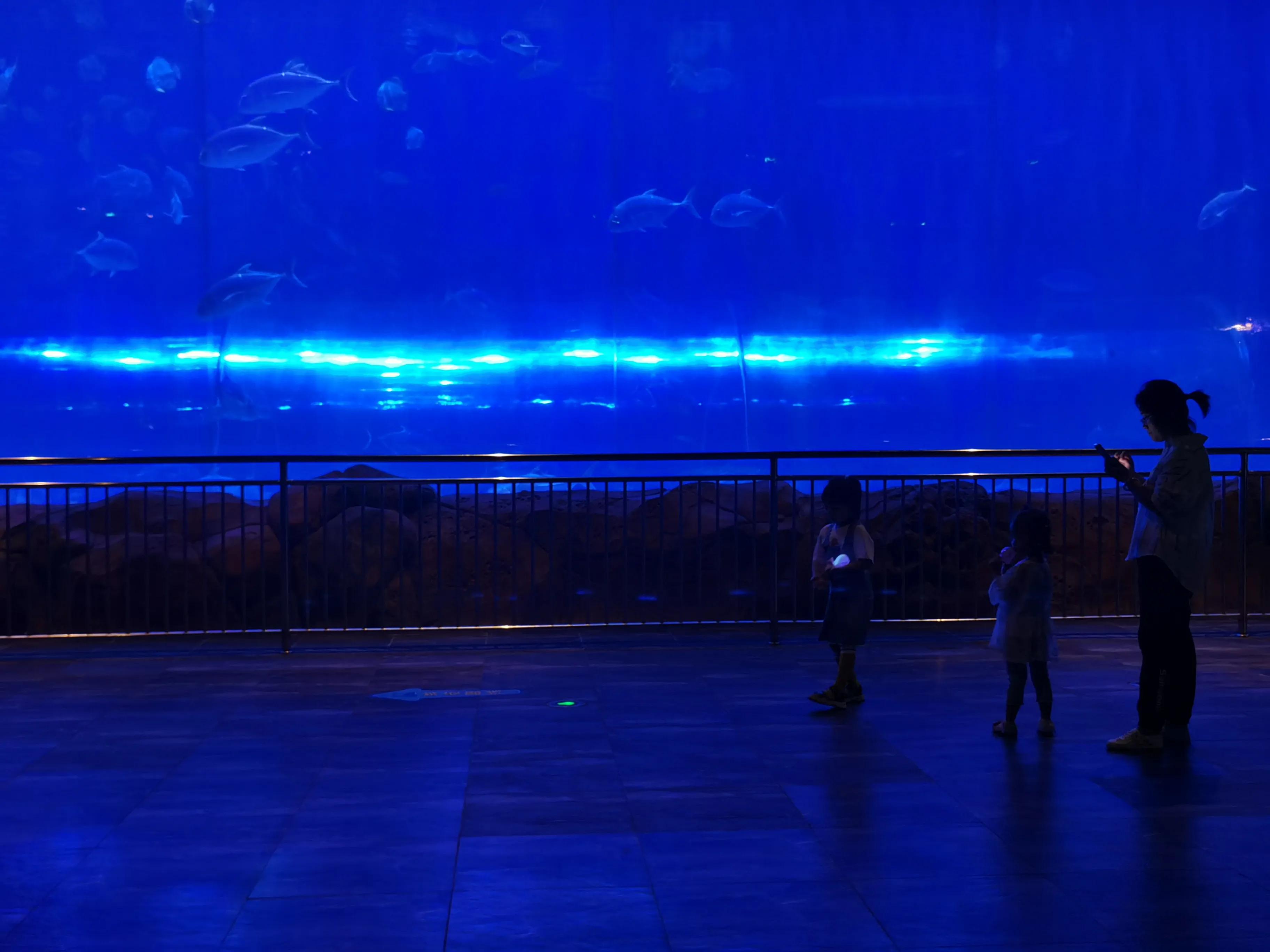 华夏文旅5d飞越丝路观看需要多久,西安华夏文旅丝路飞跃