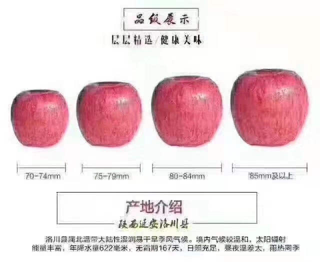 洛川苹果现状如何,洛川苹果农药