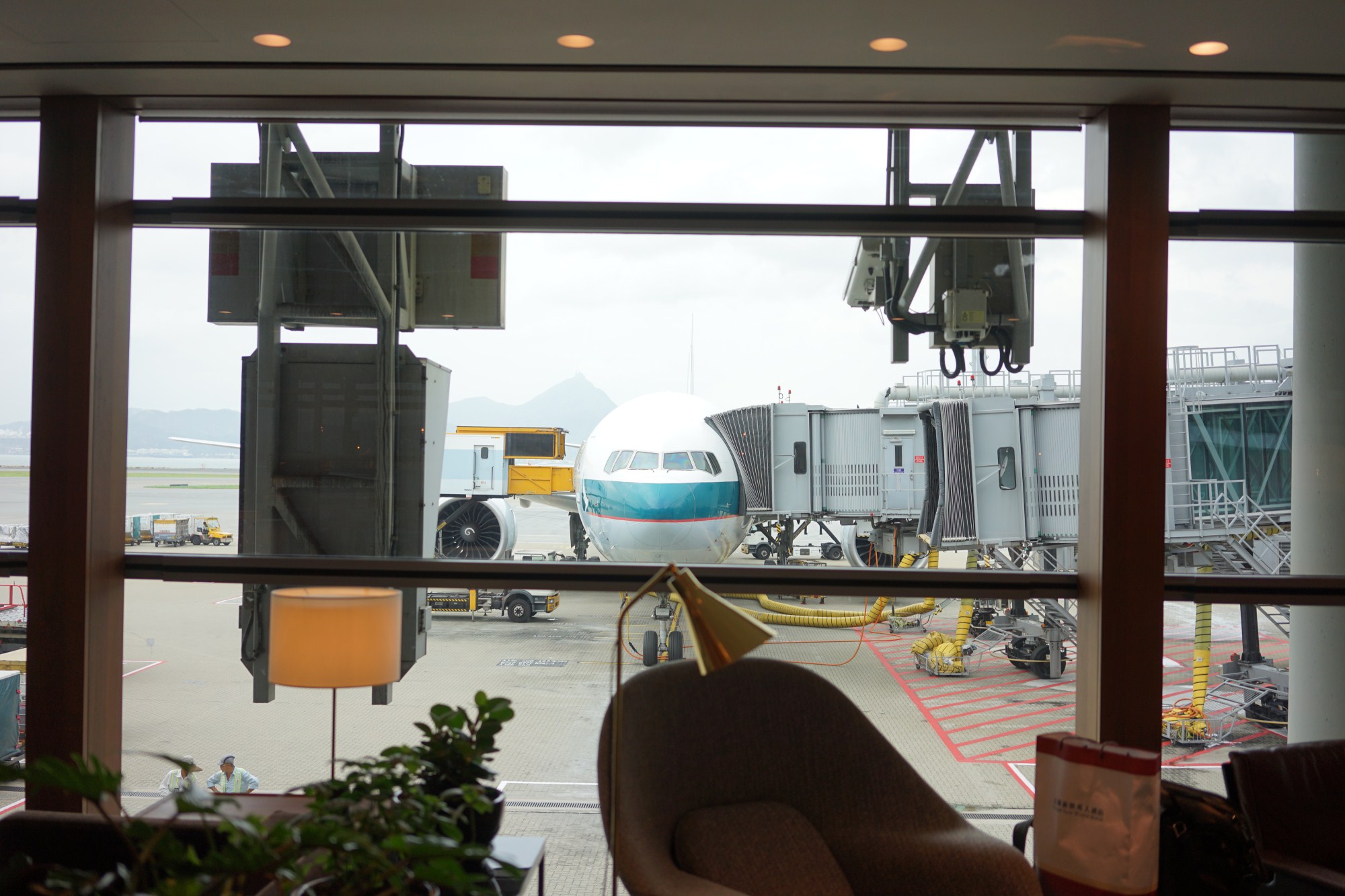 一定是特别的缘分——帕劳，再遇见「周若雪Patty」·上