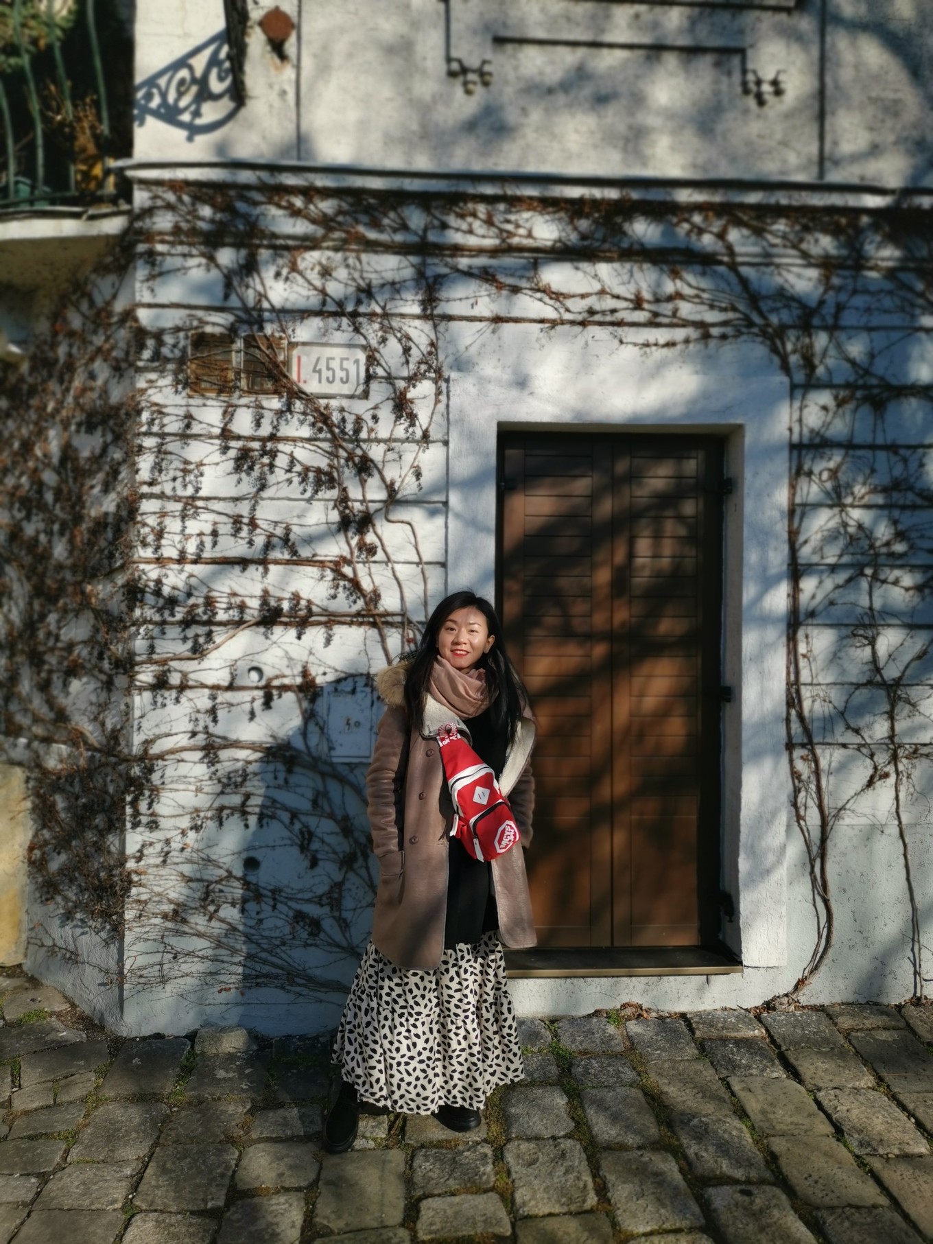 中欧旅游攻略多瑙河,中欧览秀城美食