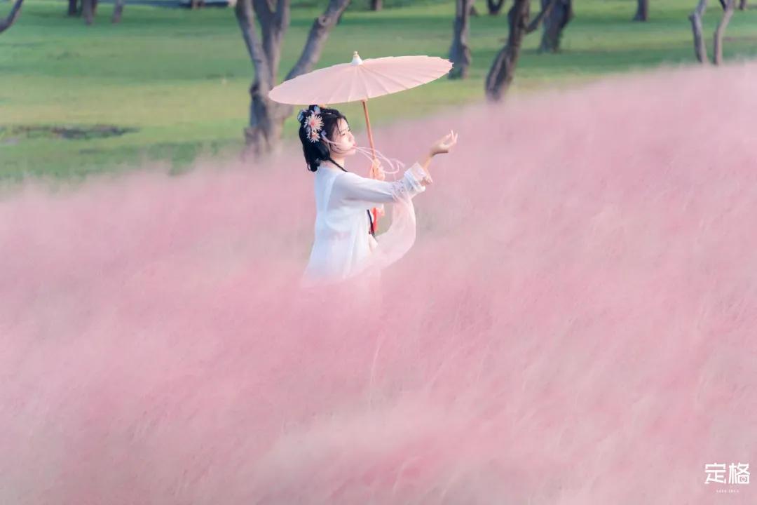 深圳周末打卡地点排行榜,深圳秋季打卡攻略