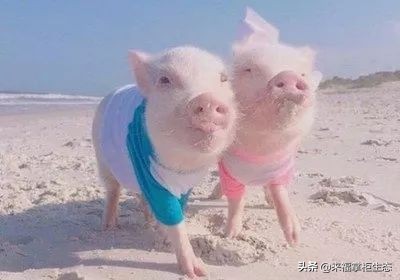 泥娃娃面膜用完还用补水吗,泥娃娃面膜的正确用法