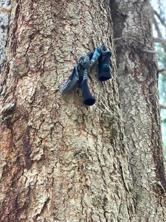 6月徒步乌孙古道骑马穿越,几月去乌孙古道徒步合适