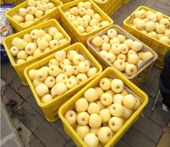 7月吃这些水果瘦身如此简单,哪些水果夏季可以做补水美白面膜