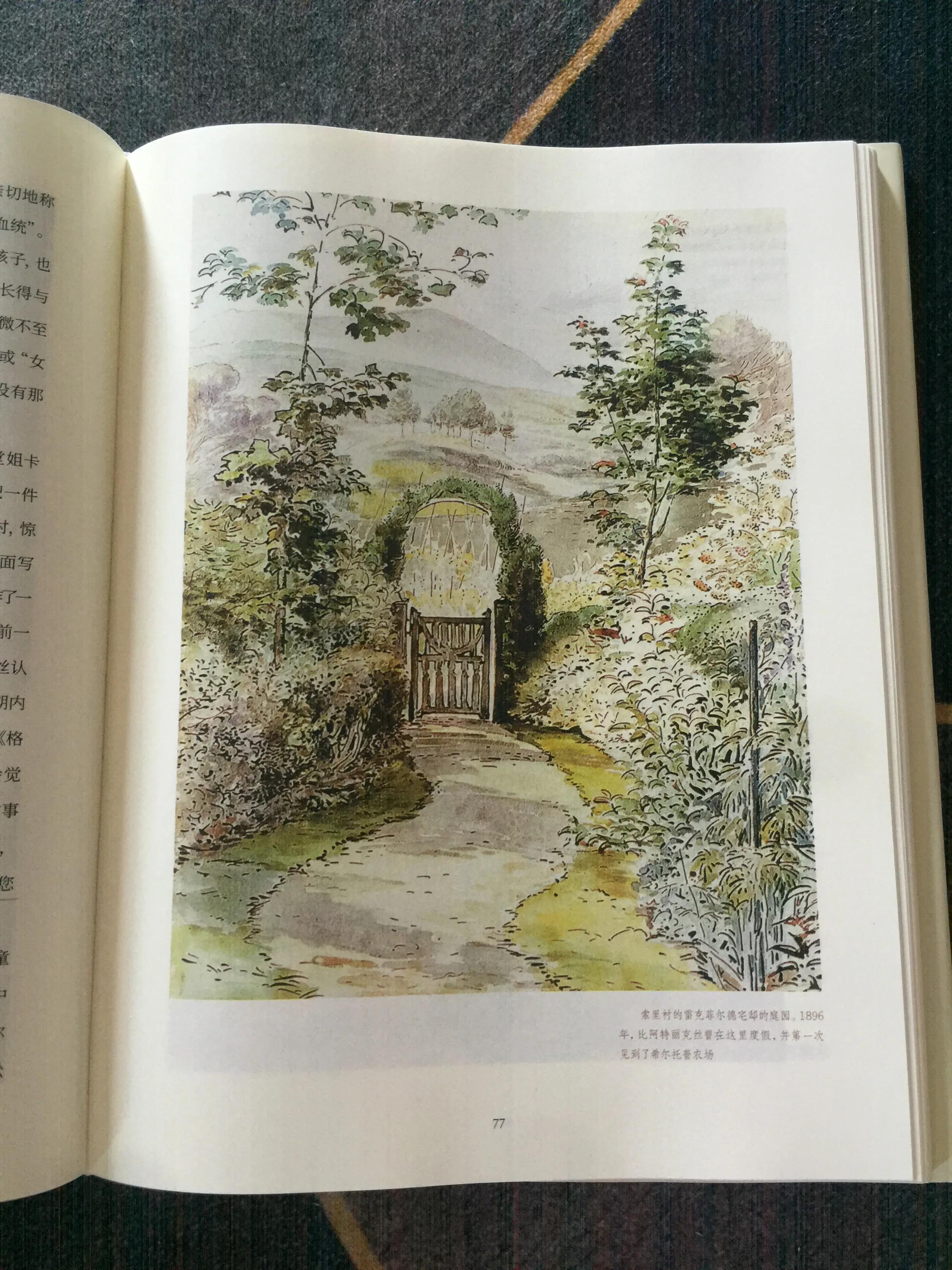 《永远的波特——彼得兔的妈妈》:揭晓彼得兔经久不衰的魅力所在