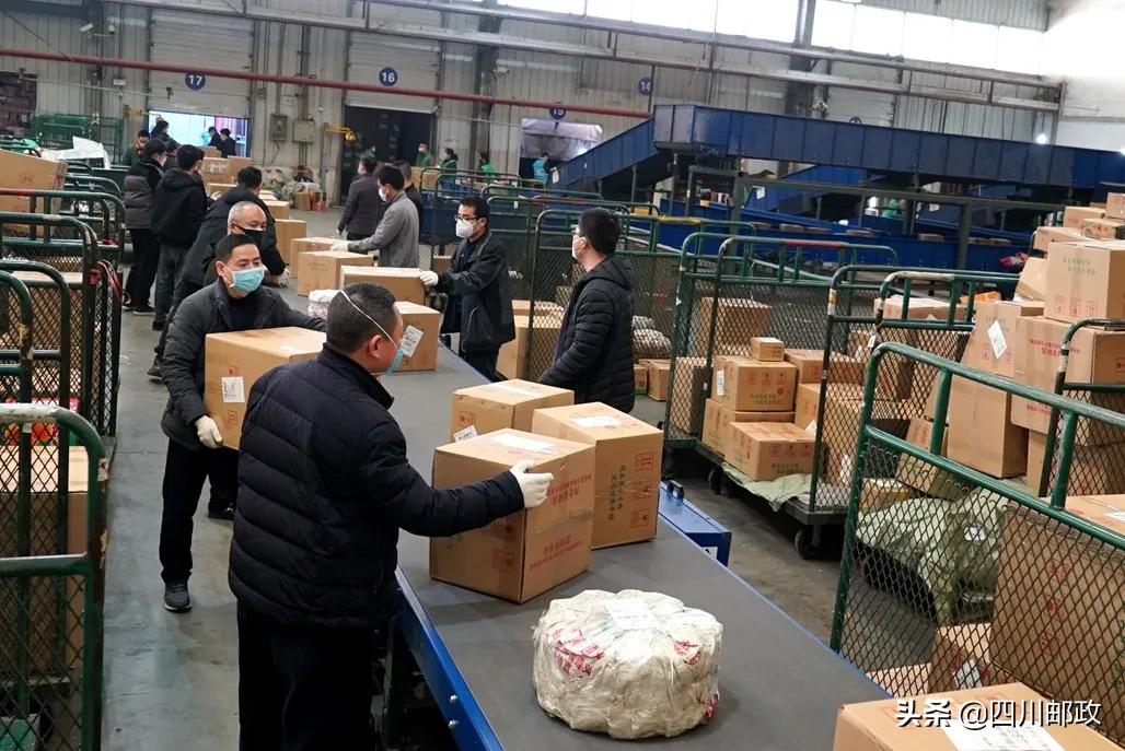 战疫一个月,四川战疫