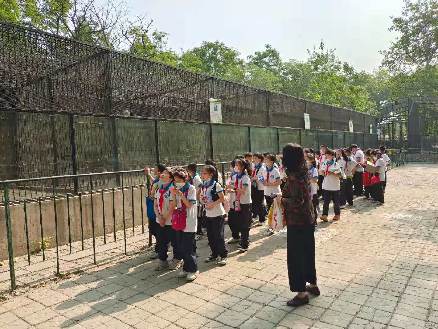 河北保定：莲池区史庄街小学走进动物园开展社会实践活动