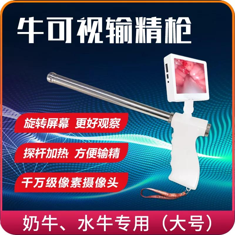 小牛犊的烦恼是什么,小牛累着了怎么办