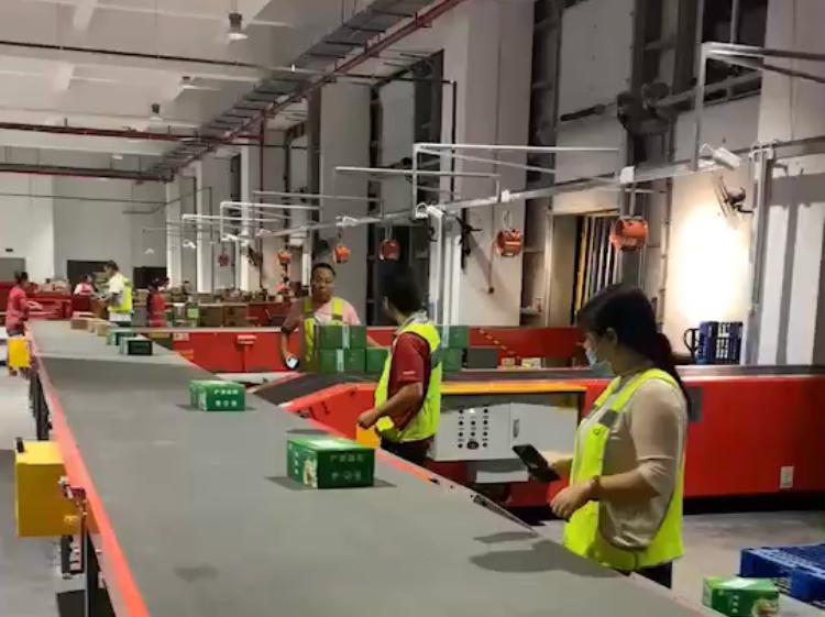 重点项目建设巡礼|顺丰水果仓落地杨凌一起感受速度与“寄”情