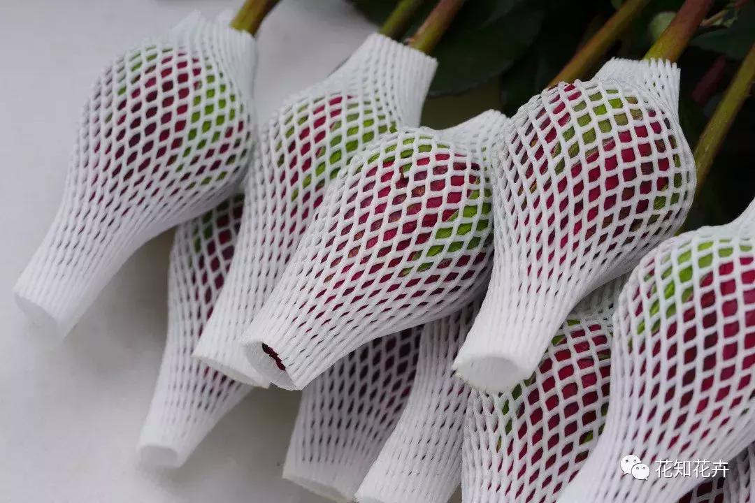 3分钟告诉你“有网玫”和“无网玫”到底意味着什么？