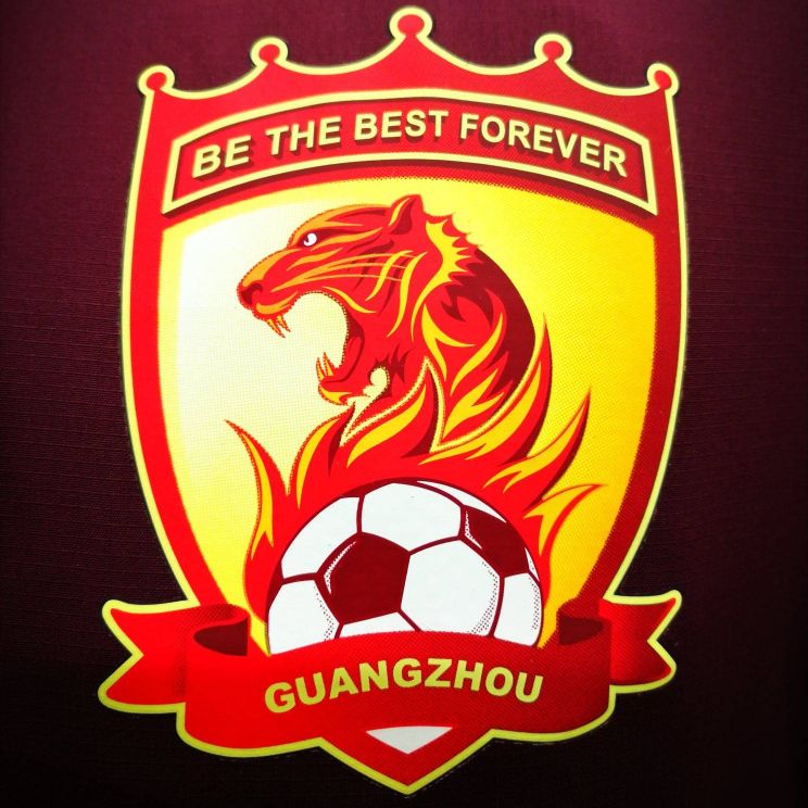 天津津门虎队徽高清,津门虎队队徽