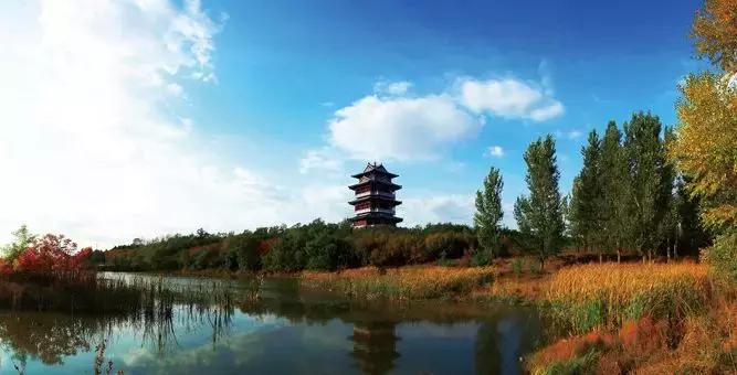 沈阳10大民生实事项目,今年沈阳12件民生实事全面推进