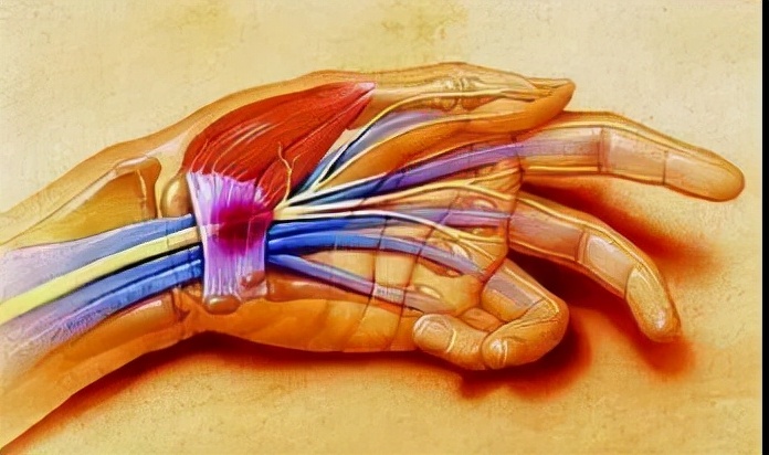 生命汇医疗国际中心,生命汇医疗服务