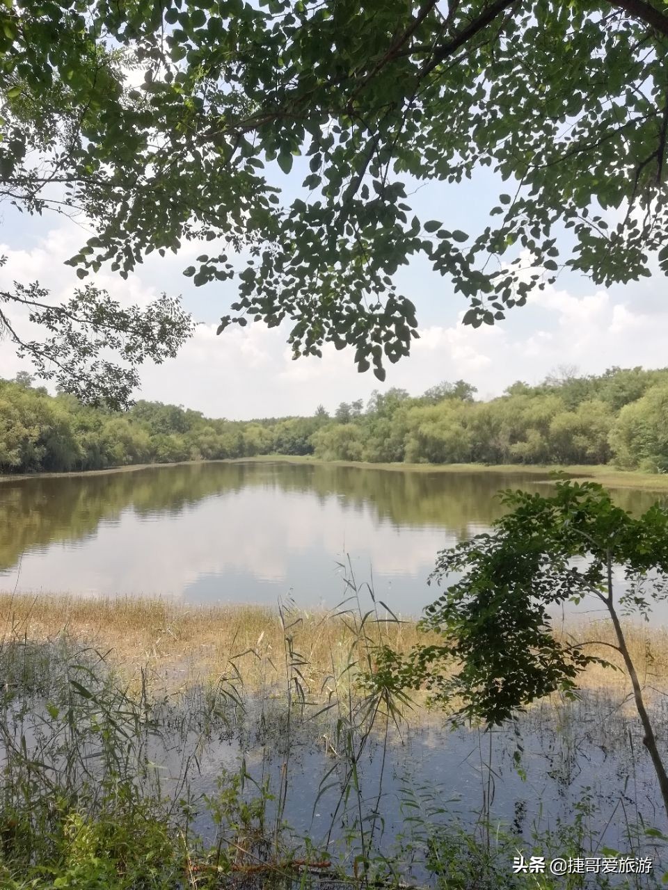 捷哥语录,捷哥旅游