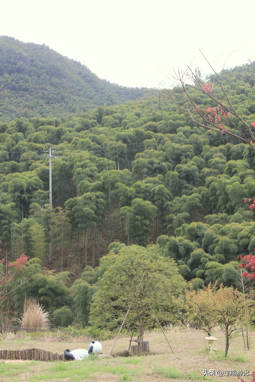 安吉大竹海旅行,冬季安吉大竹海景区