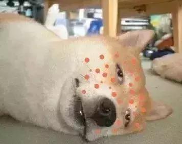 被青春痘困扰怎么办,被痘痘困扰的安慰