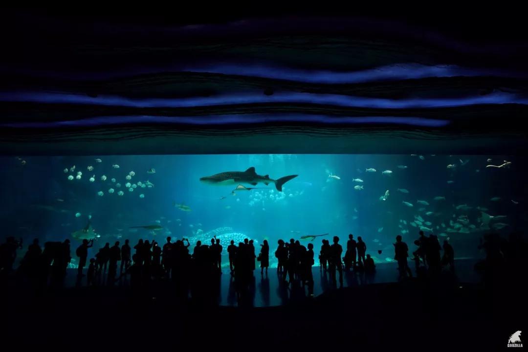 不远的旅游景点推荐,不远不贵不累8个国内亲子游