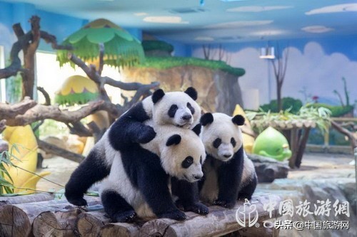 广州长隆全部项目第一视角,广州长隆全部项目详细介绍