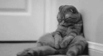 有趣的拍照模板,30个照片合集模板