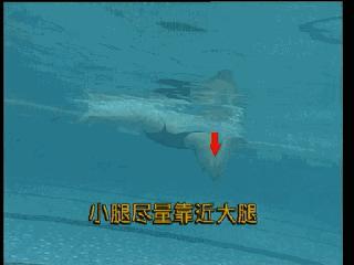 蛙泳的六大腿部错误纠正,儿童蛙泳腿部全套慢动作教学视频