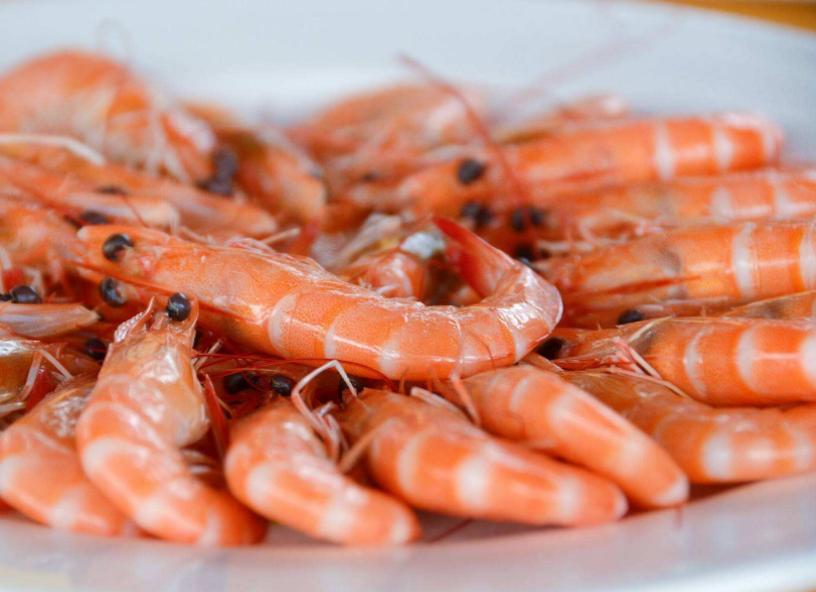挑虾怎么挑才能挑到新鲜的虾类,如何有效挑选虾类的虾种呢